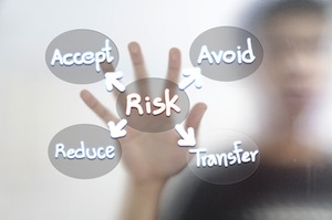 risk-management-niche-site-project-300
