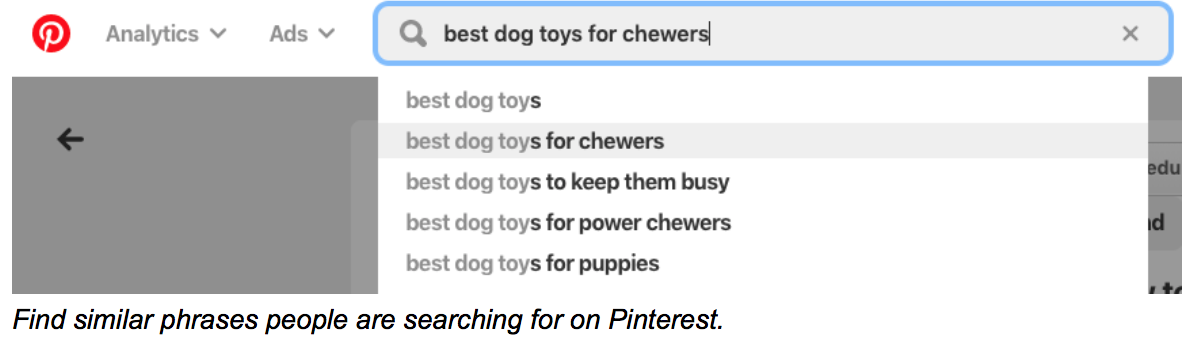similar phrases searched on Pinterest